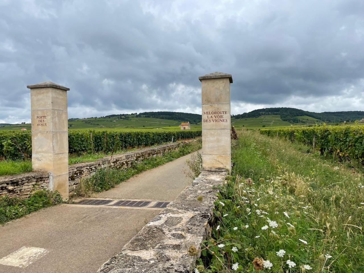 Le Jardin Des Verottes Beaune  Bagian luar foto