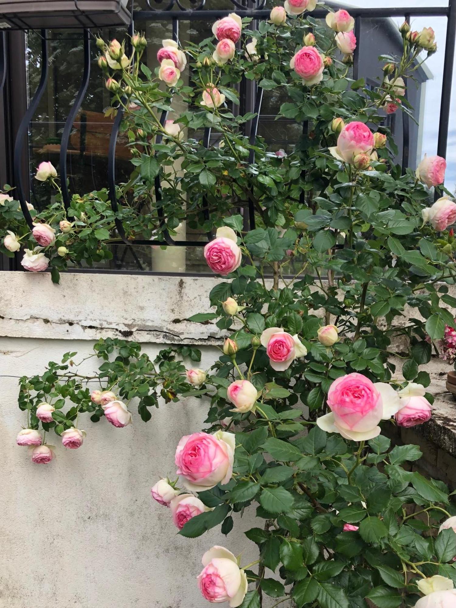 Le Jardin Des Verottes Beaune  Bagian luar foto